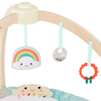 Sunrise Play Gym