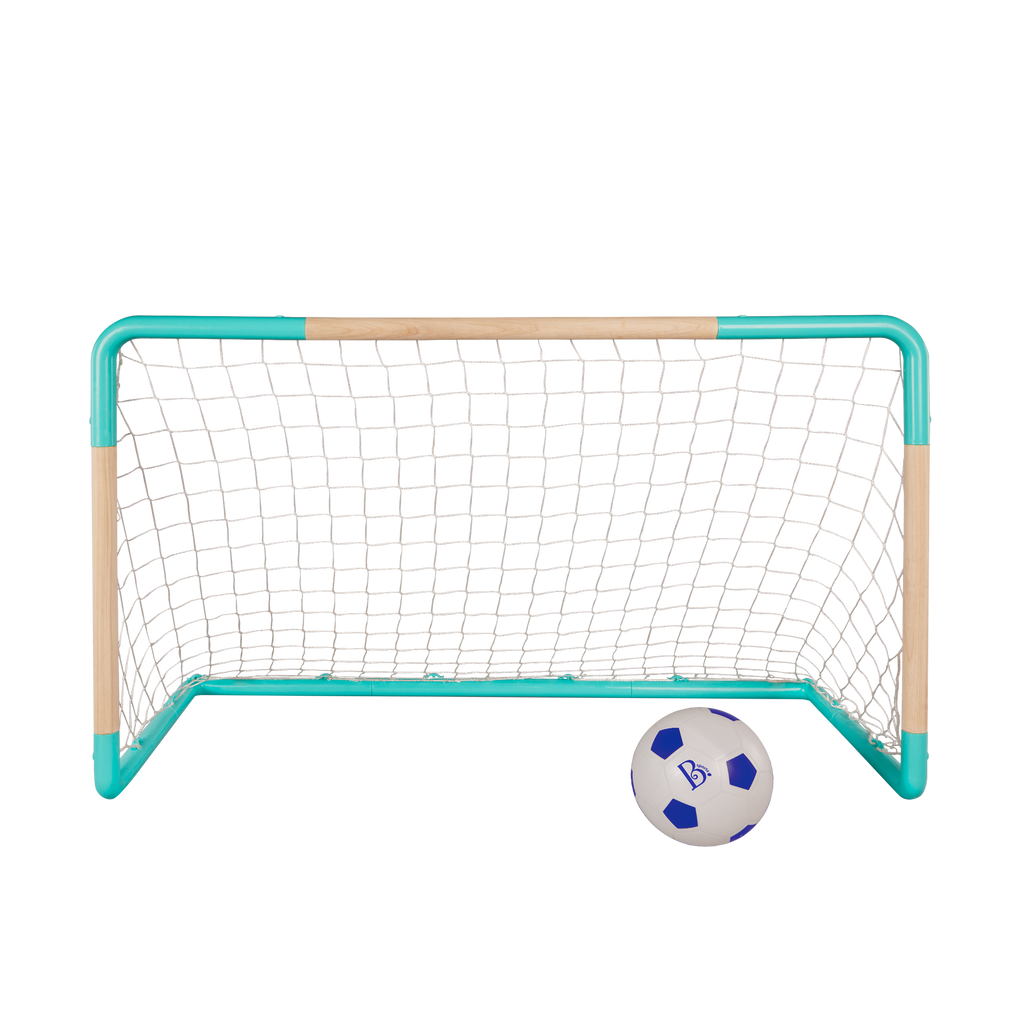 Soccer Net & Ball